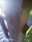 IMG20220728150722097